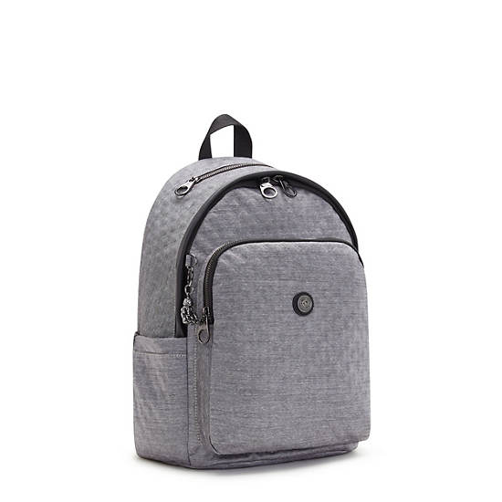 Kipling Delia Klassieke Rugzak Zilver | BE 1555EB